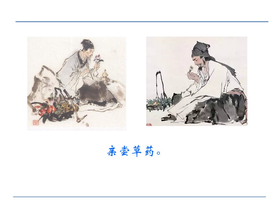 李时珍课件ppt模板