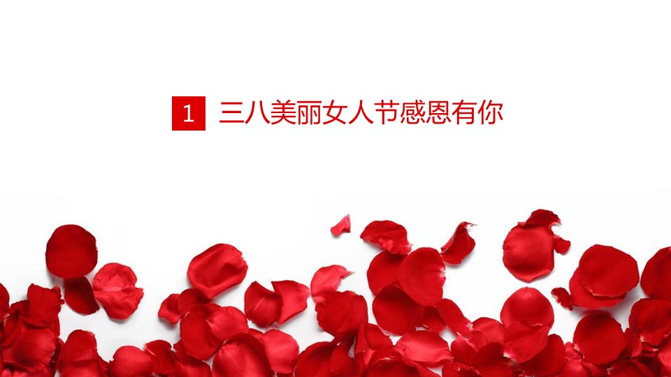 玫瑰花瓣ppt模板