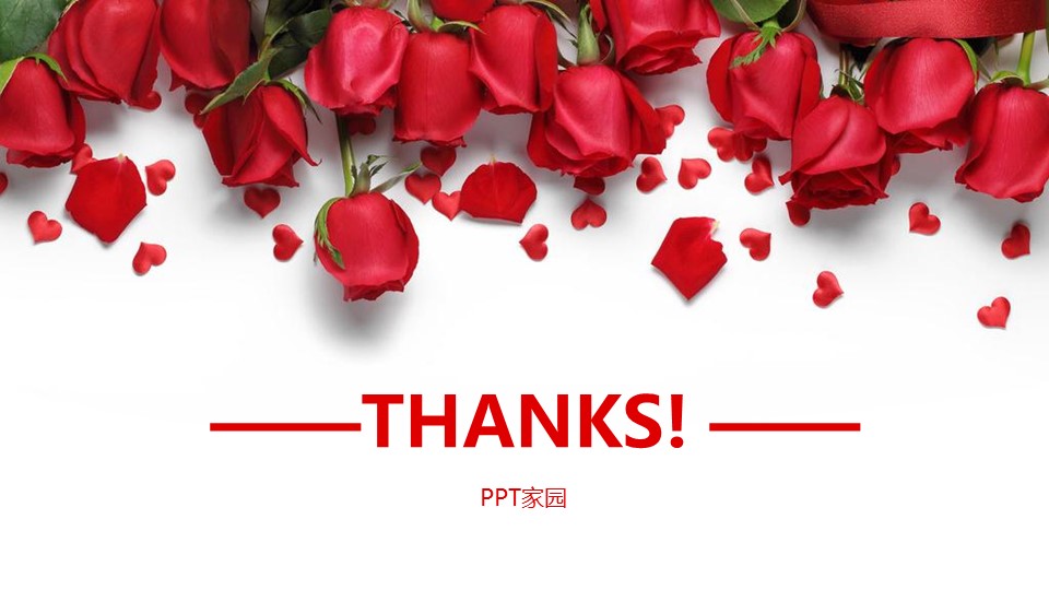 玫瑰花瓣ppt模板