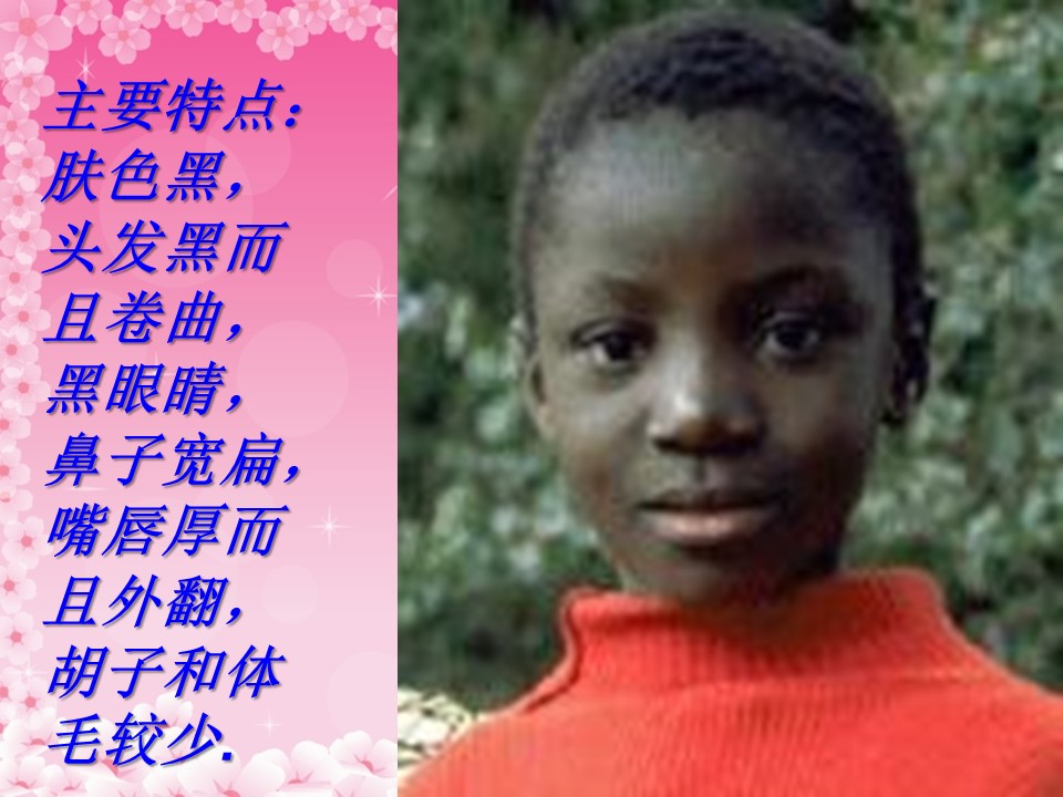 生活在地球村的人们ppt模板