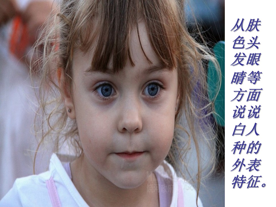 生活在地球村的人们ppt模板