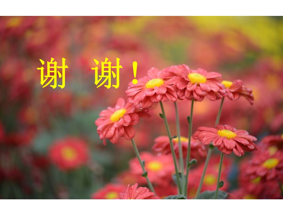 中国情的中国的花ppt模板 