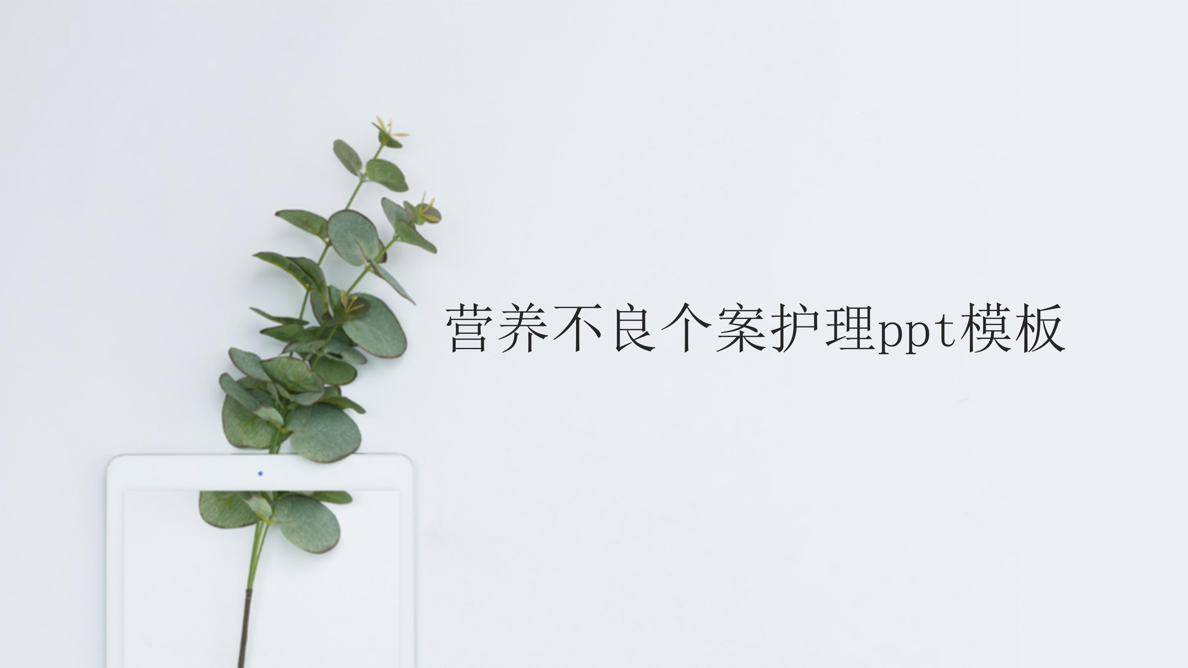 营养不良个案护理ppt模板