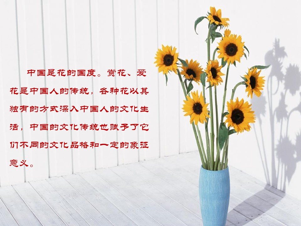 中国情的中国的花ppt模板 