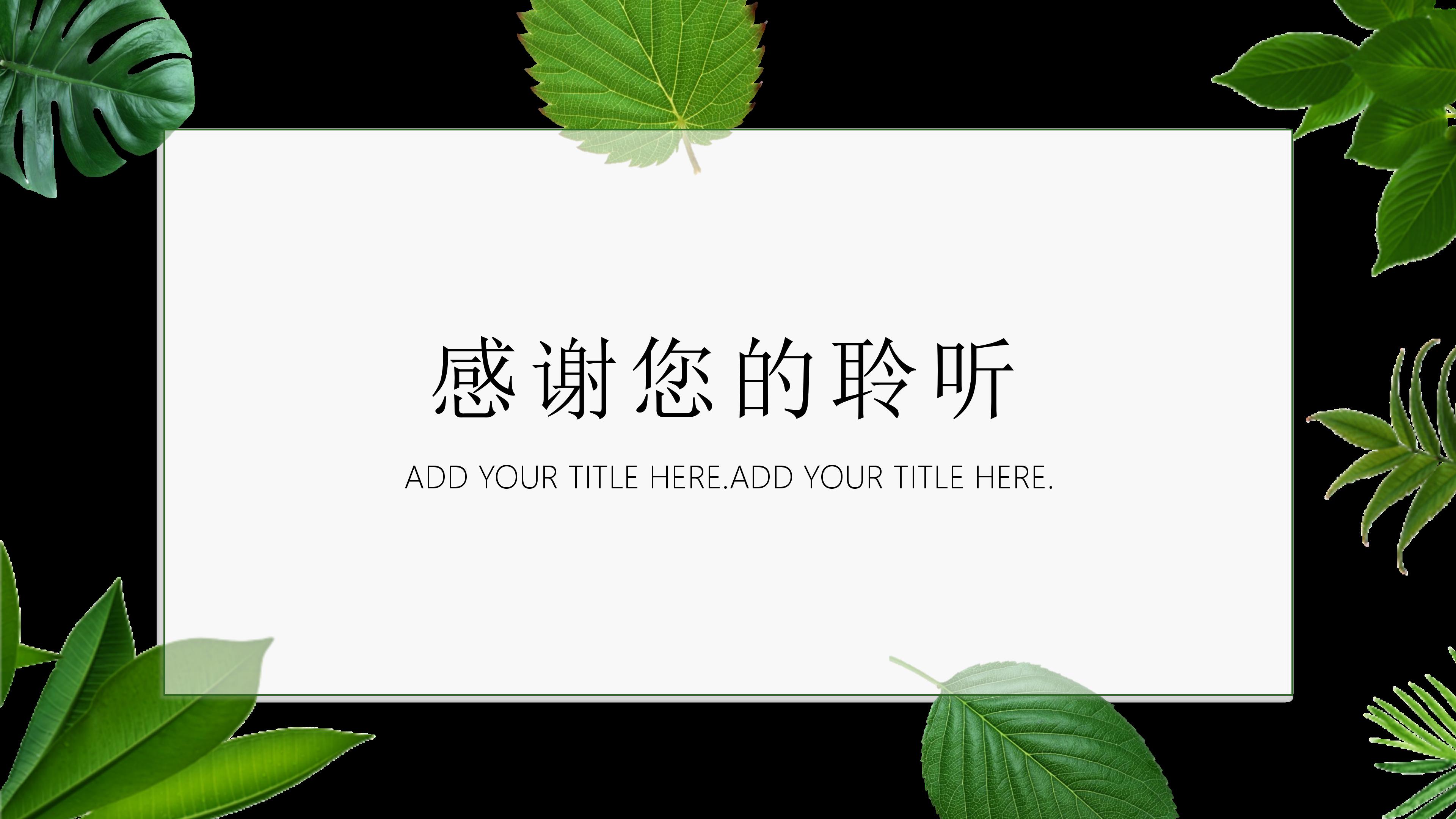 路政案例分析ppt模板