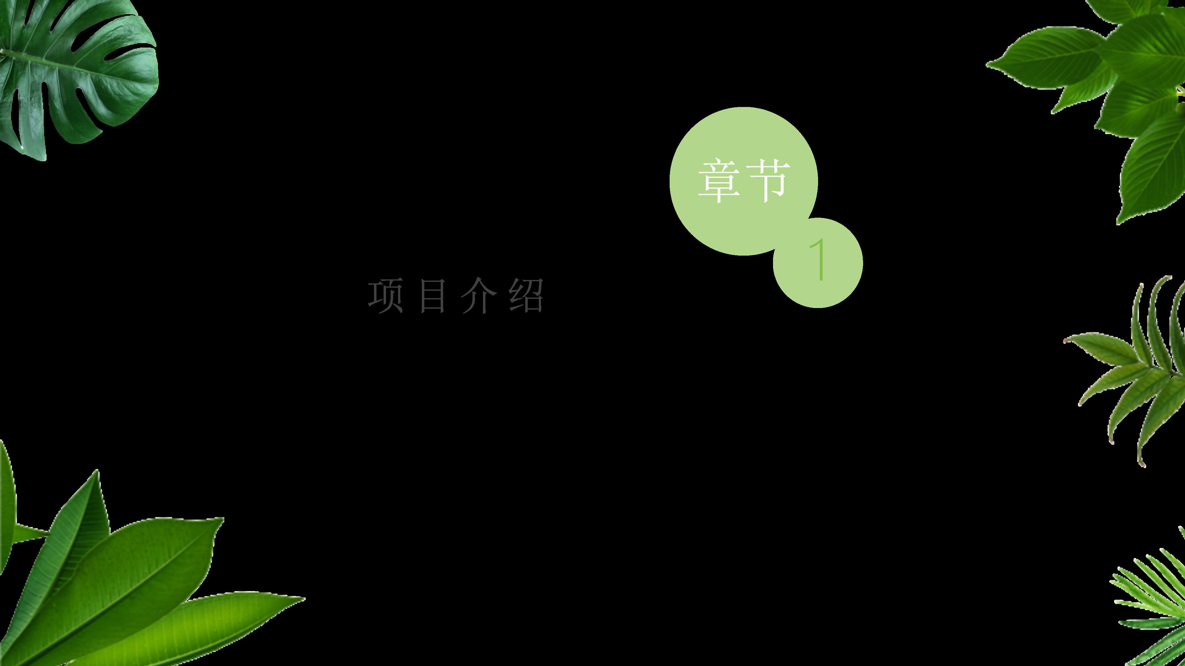 路政案例分析ppt模板