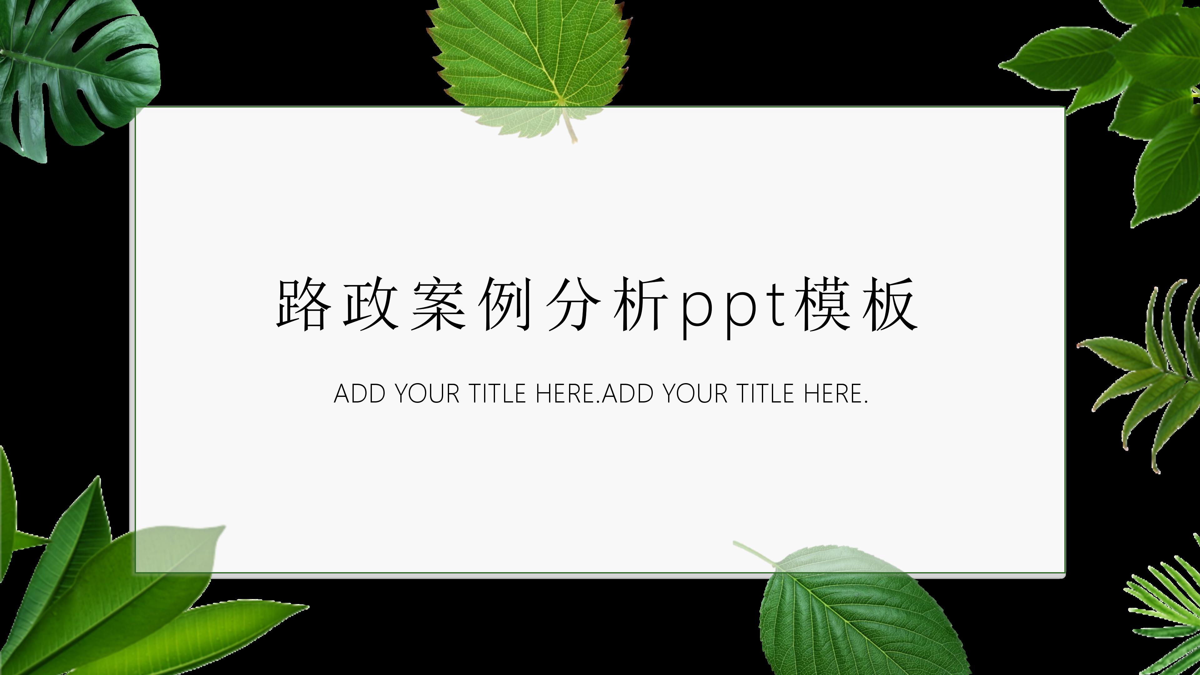 路政案例分析ppt模板