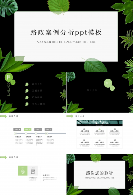 路政案例分析ppt模板