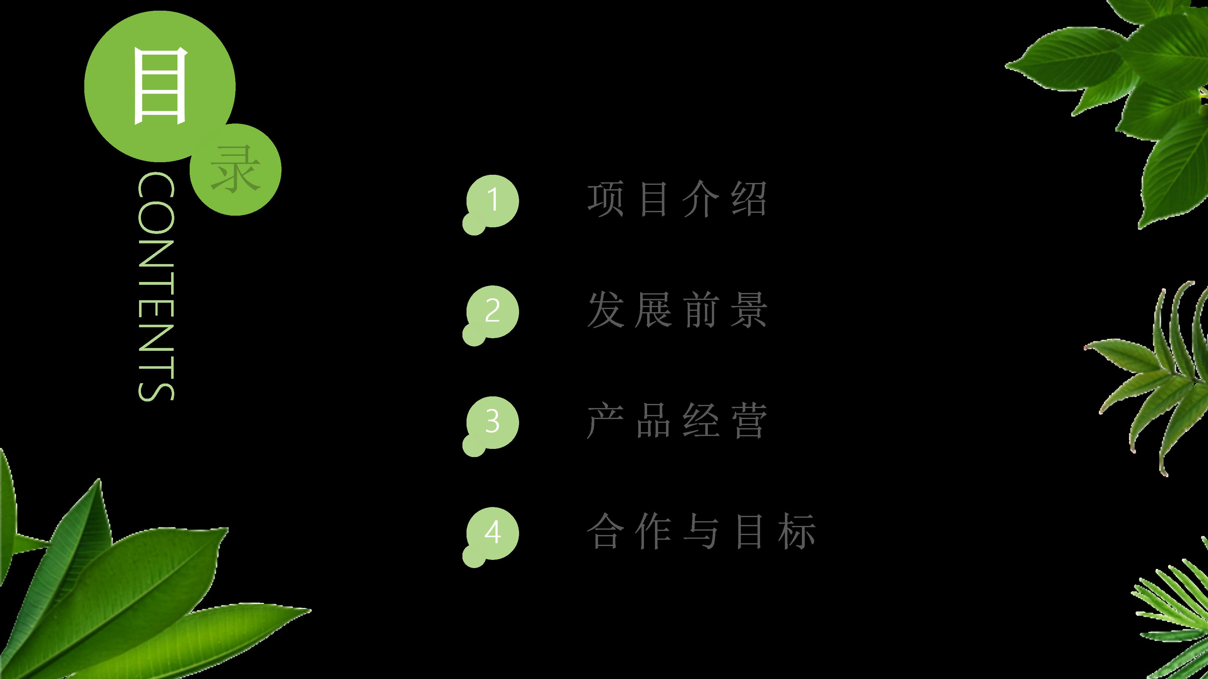 路政案例分析ppt模板