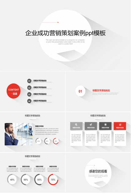 企业成功营销策划案例ppt模板