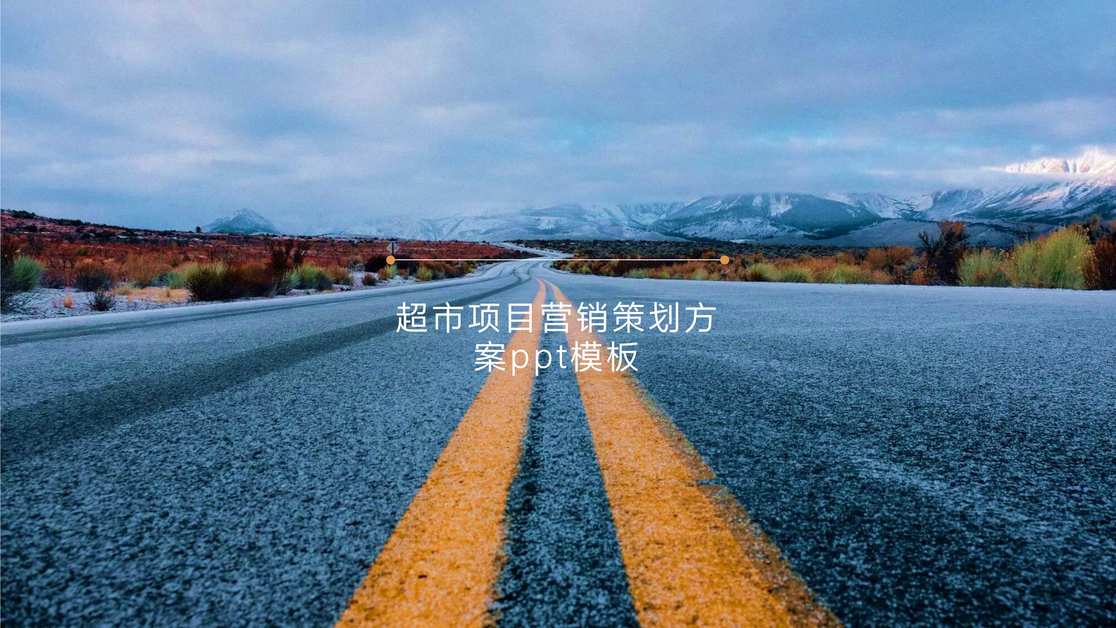 超市项目营销策划方案ppt模板