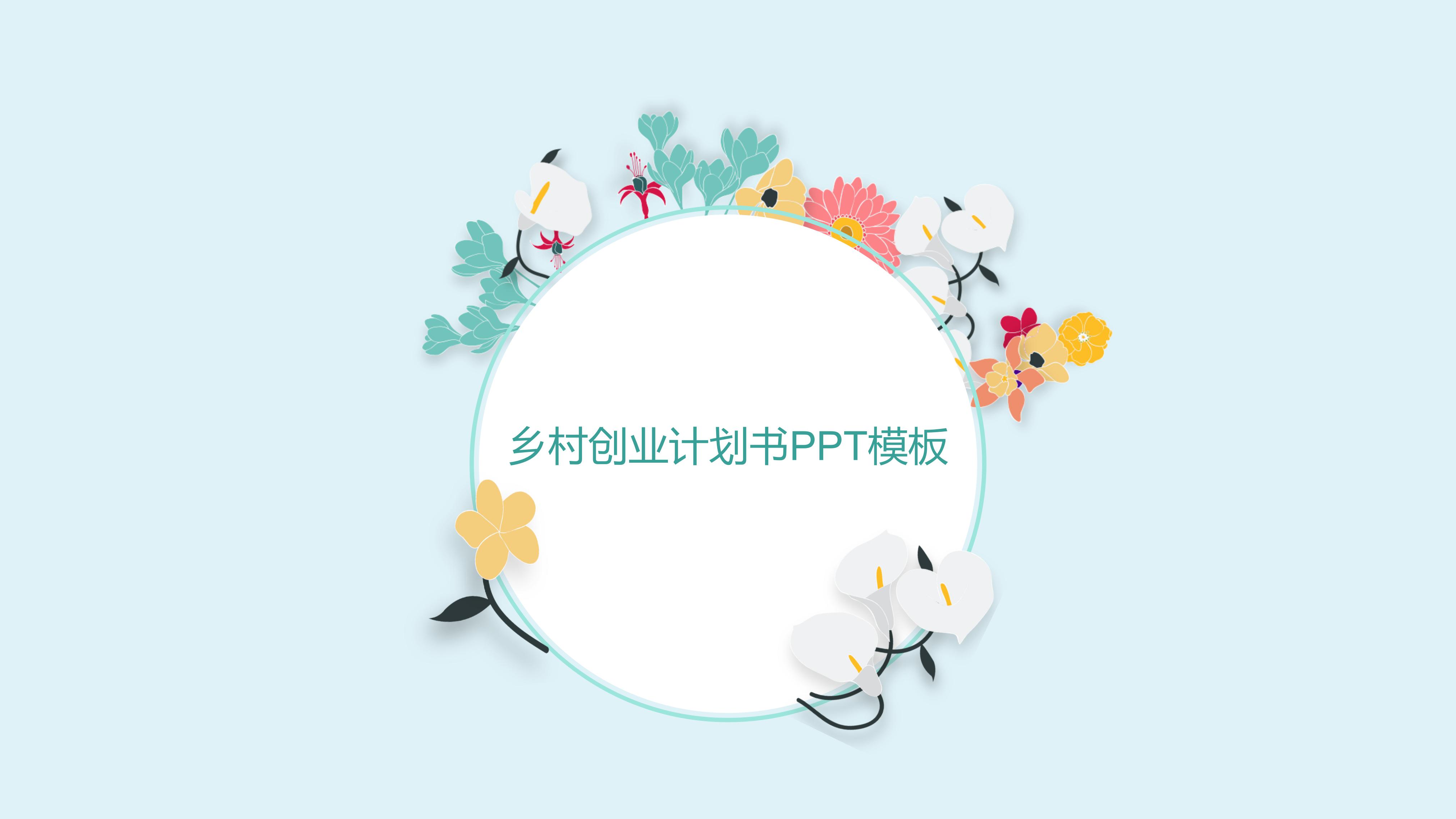 乡村创业计划书ppt模板