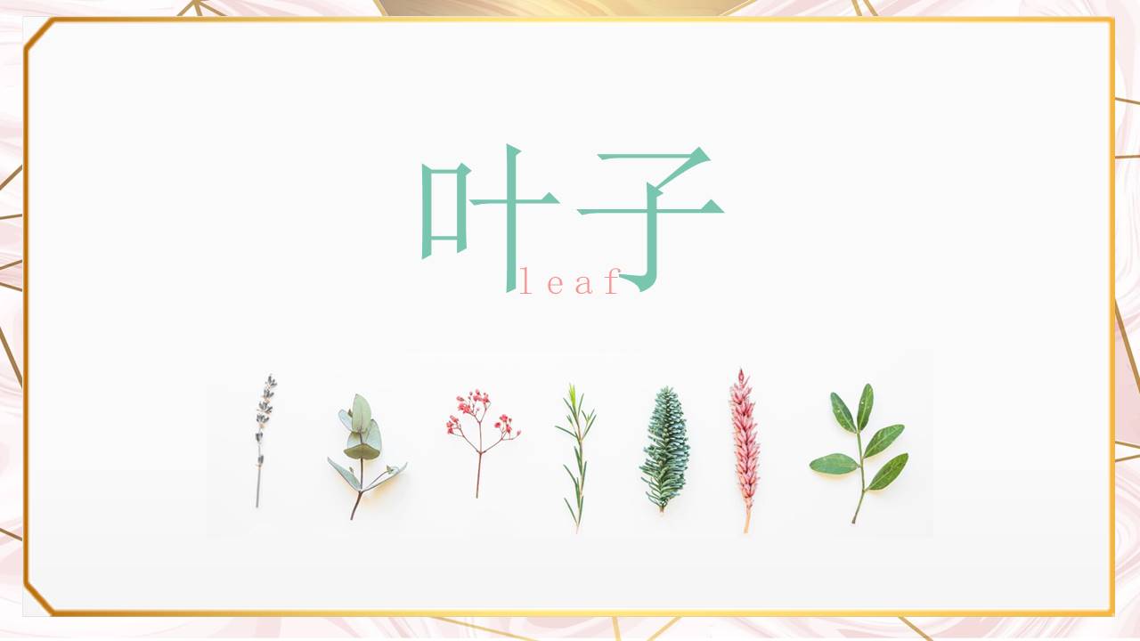 创意淡雅清新叶子PPT模板