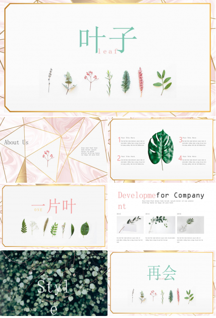 创意淡雅清新叶子PPT模板