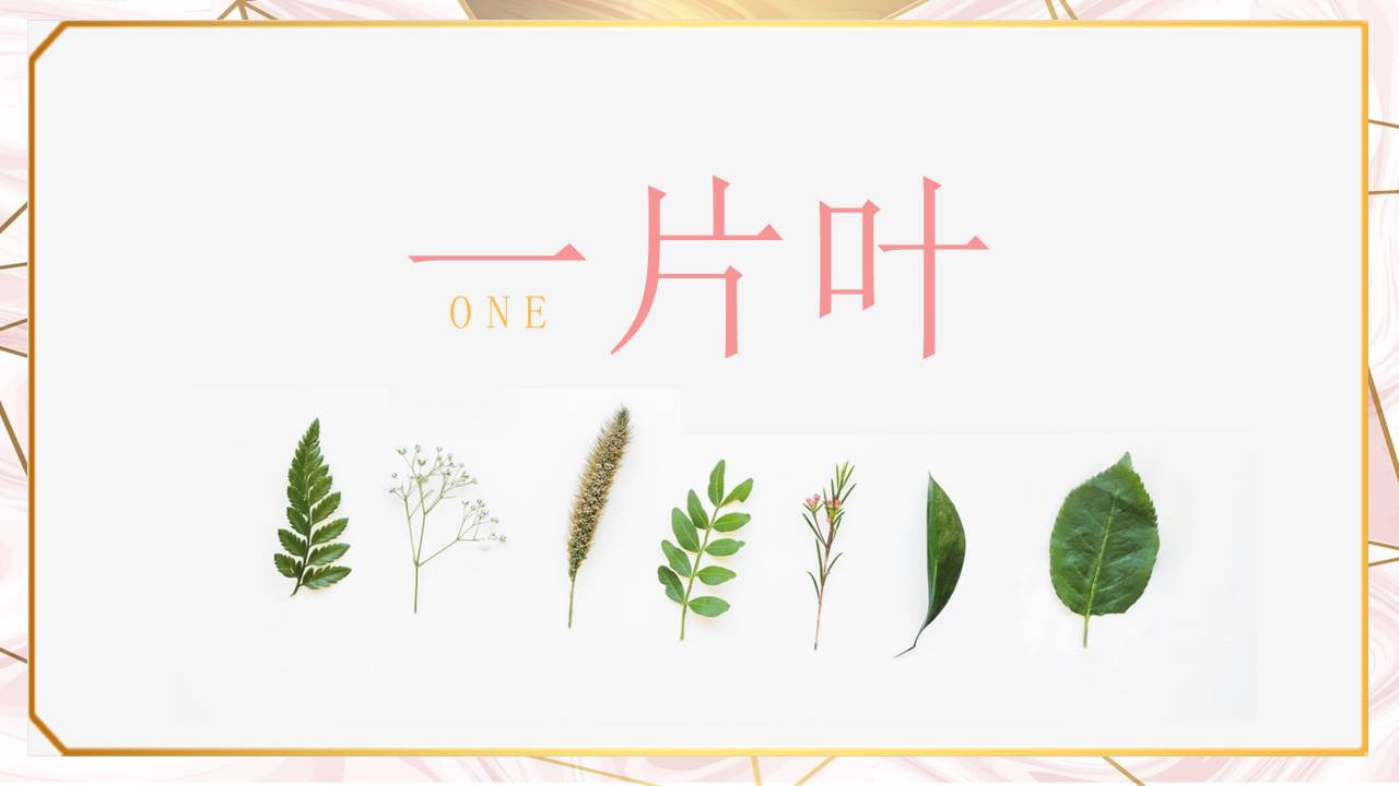 创意淡雅清新叶子PPT模板