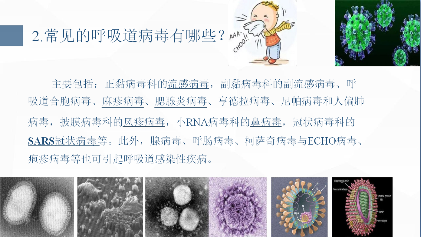 新型冠状病毒肺炎预防手册ppt模板