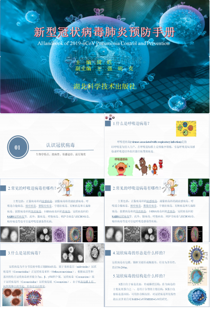 新型冠状病毒肺炎预防手册ppt模板