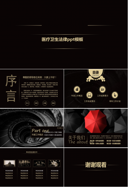 医疗卫生法律ppt模板