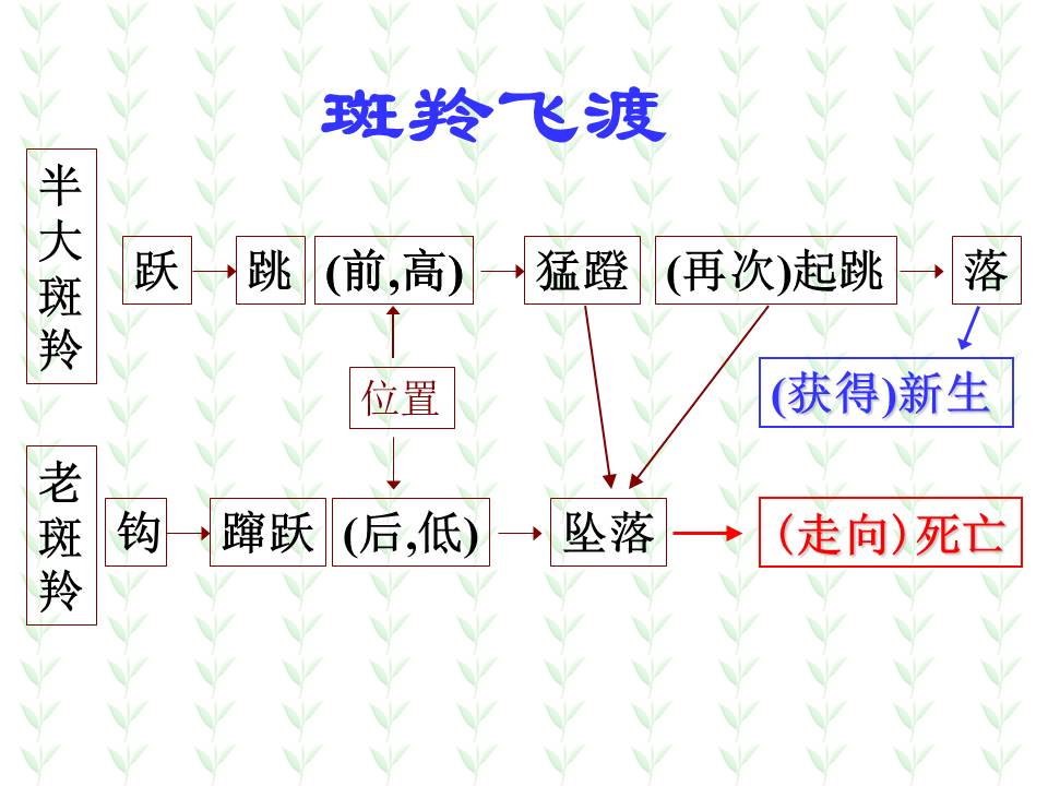 《斑羚飞渡》人教版课件ppt模板