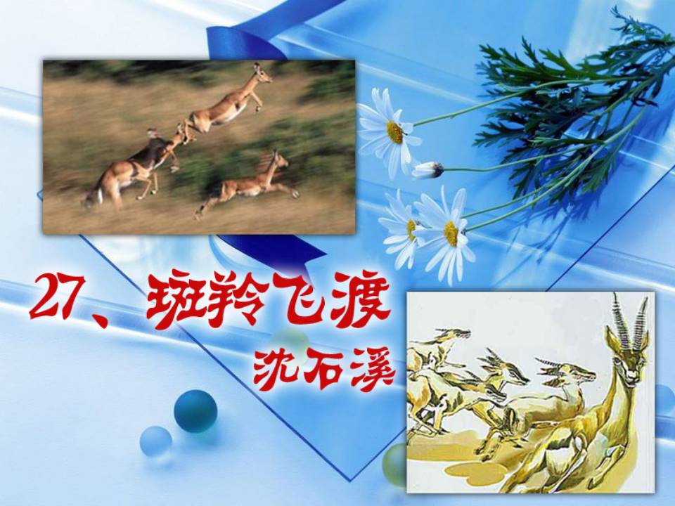 斑羚飞渡ppt模板