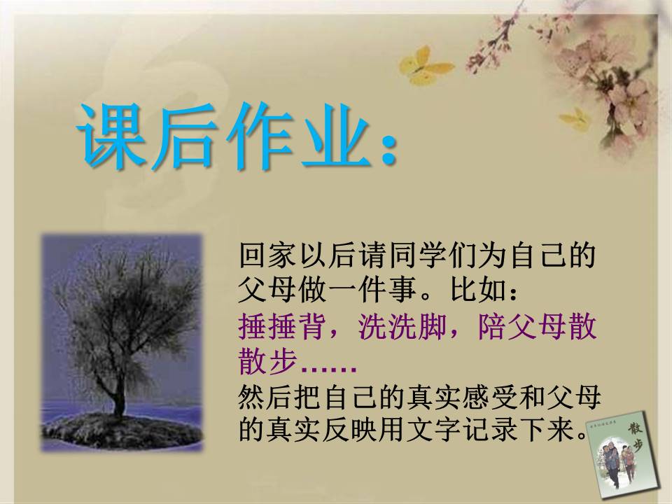 七年级上册散步ppt模板