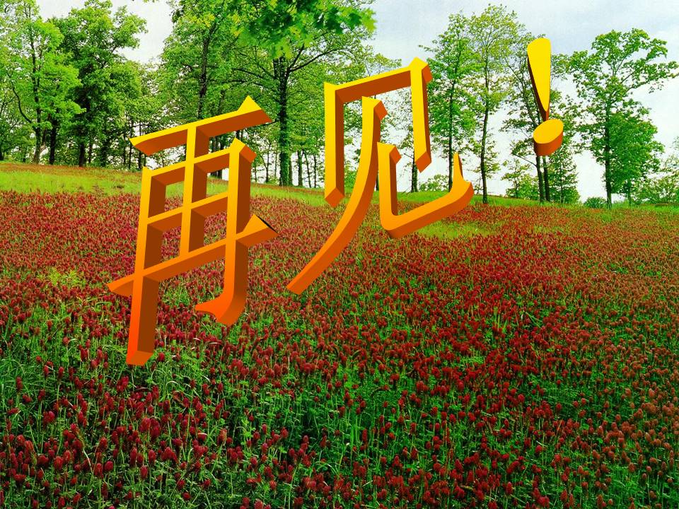 长方体、正方体的认识ppt模板