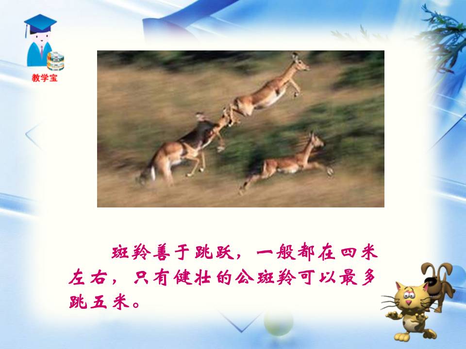 斑羚飞渡ppt模板