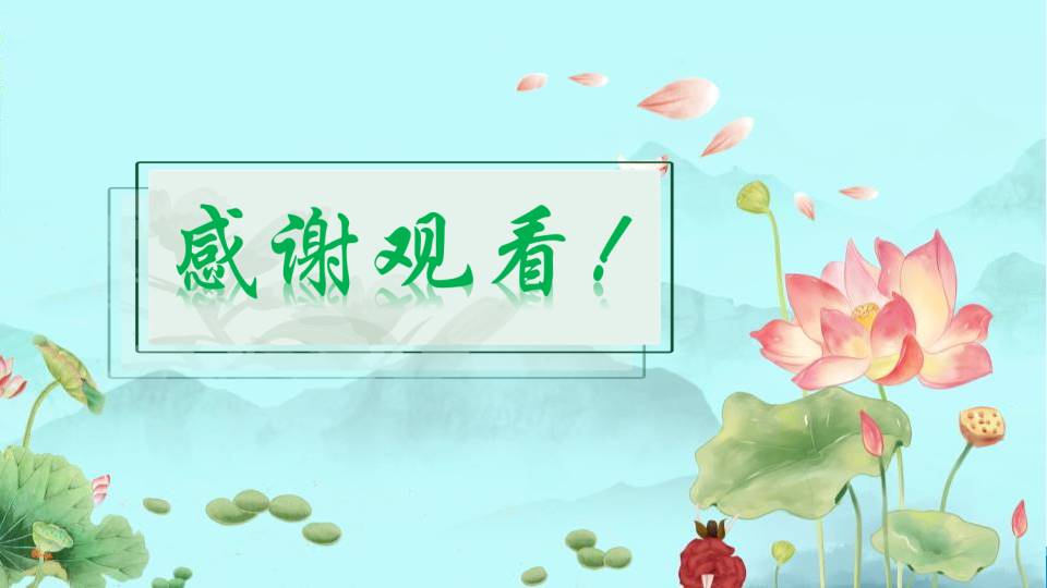 荷叶圆圆语文课件ppt模板