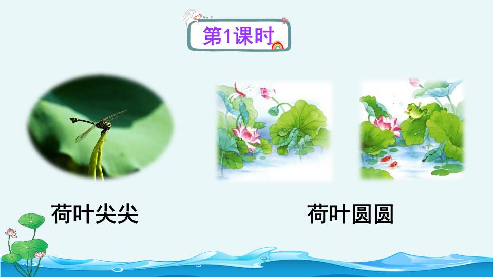 荷叶圆圆语文课件ppt模板