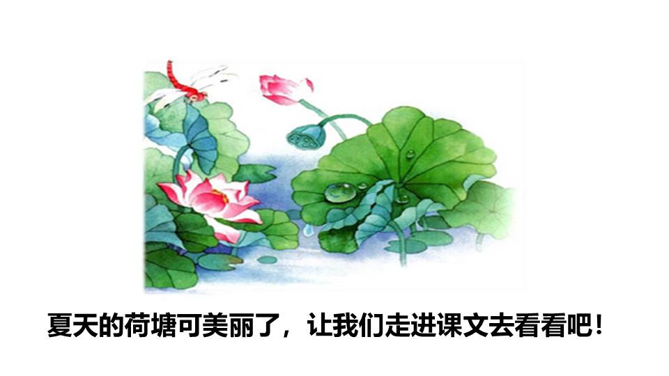 人教版荷叶圆圆ppt模板第一课时