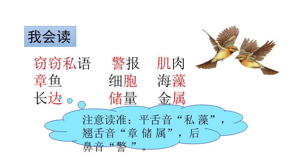 海底世界课件ppt模板
