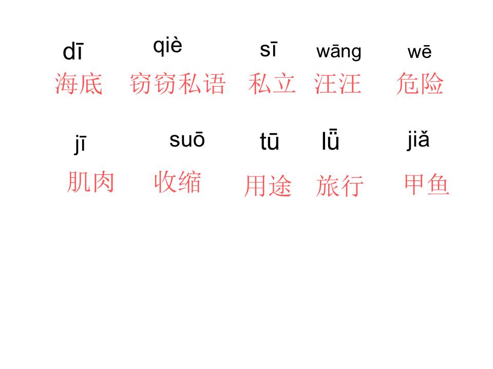 海底世界ppt模板