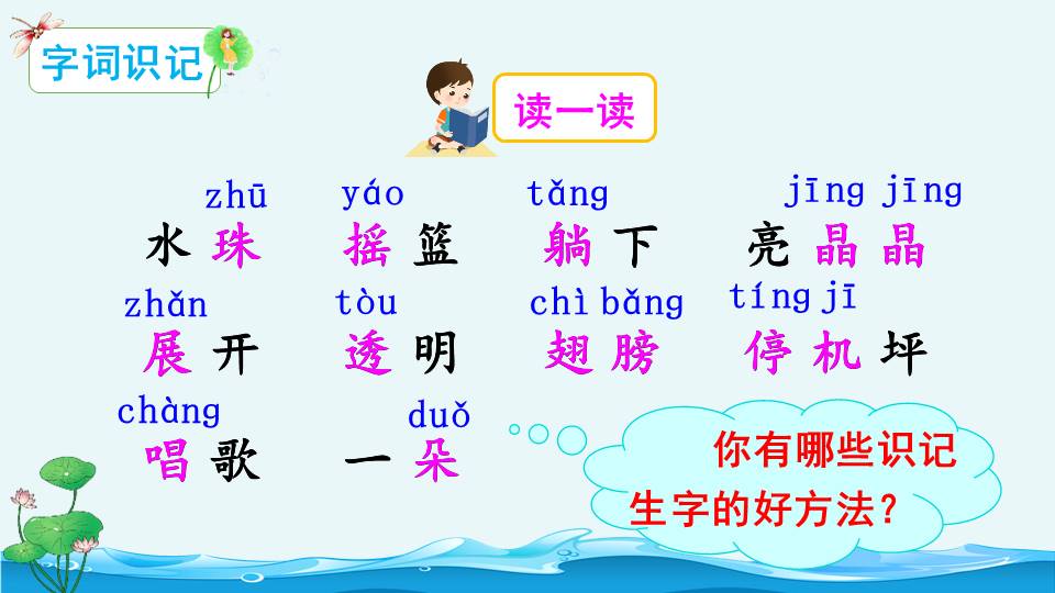 荷叶圆圆语文课件ppt模板