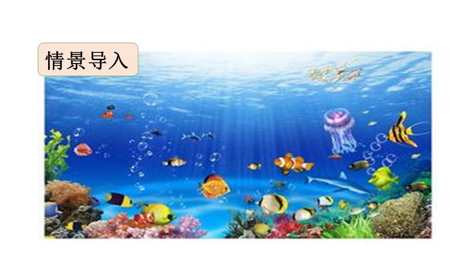 海底世界课件ppt模板