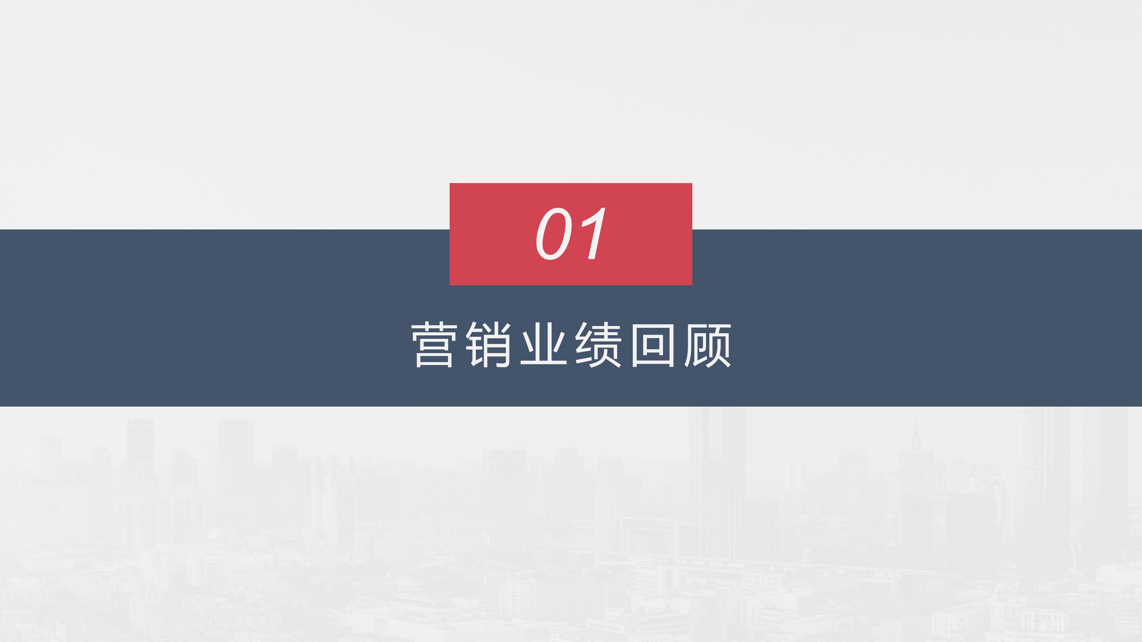 医疗美容运营ppt模板