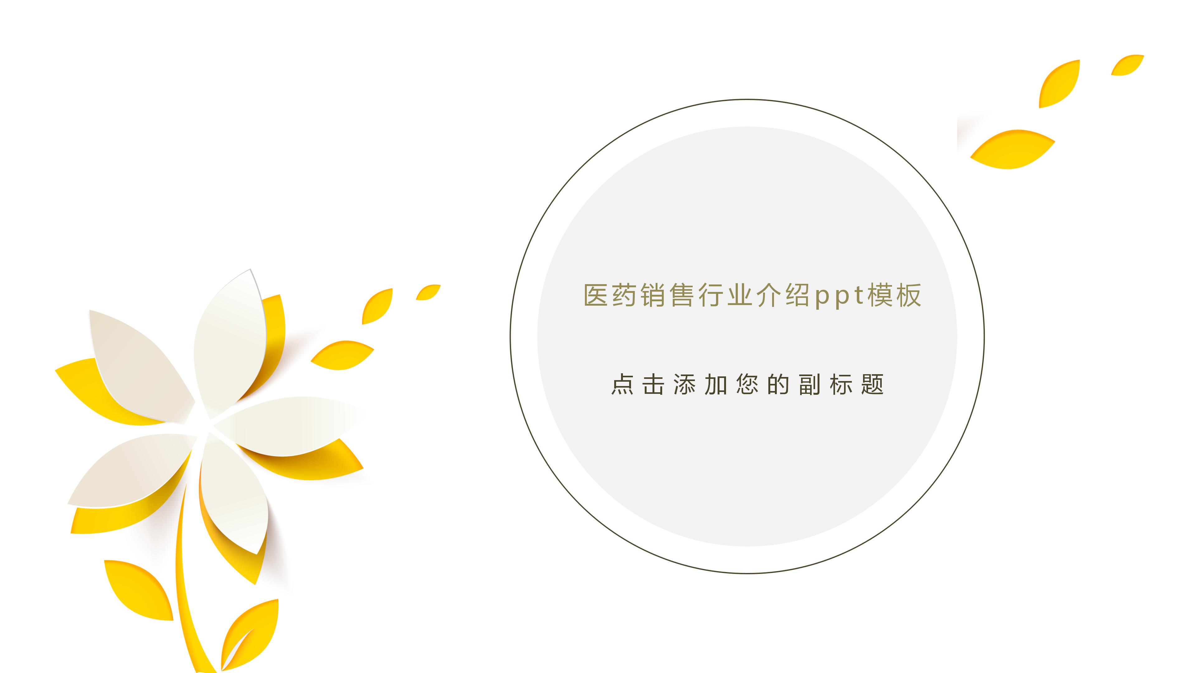 医药销售行业介绍ppt模板