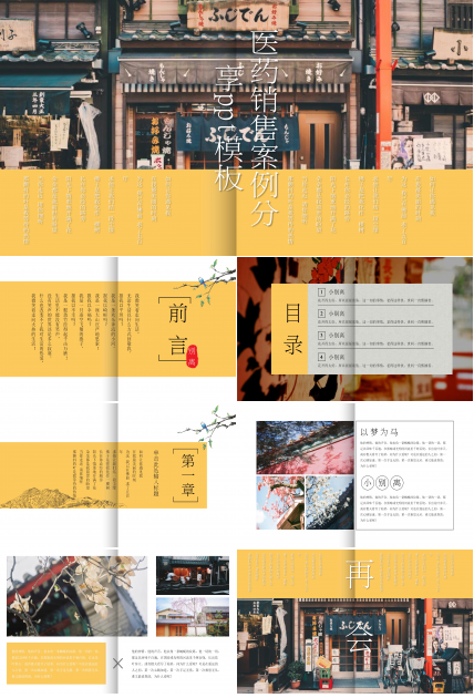 医药销售案例分享ppt模板