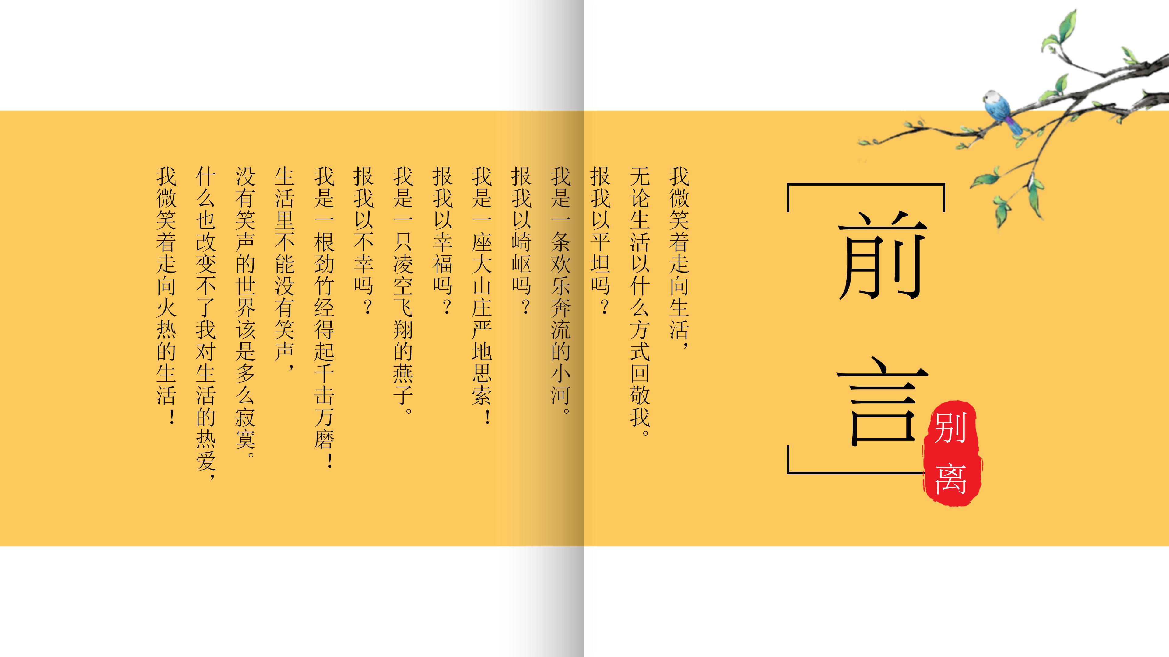 医药销售案例分享ppt模板