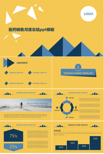 医药销售月度总结ppt模板