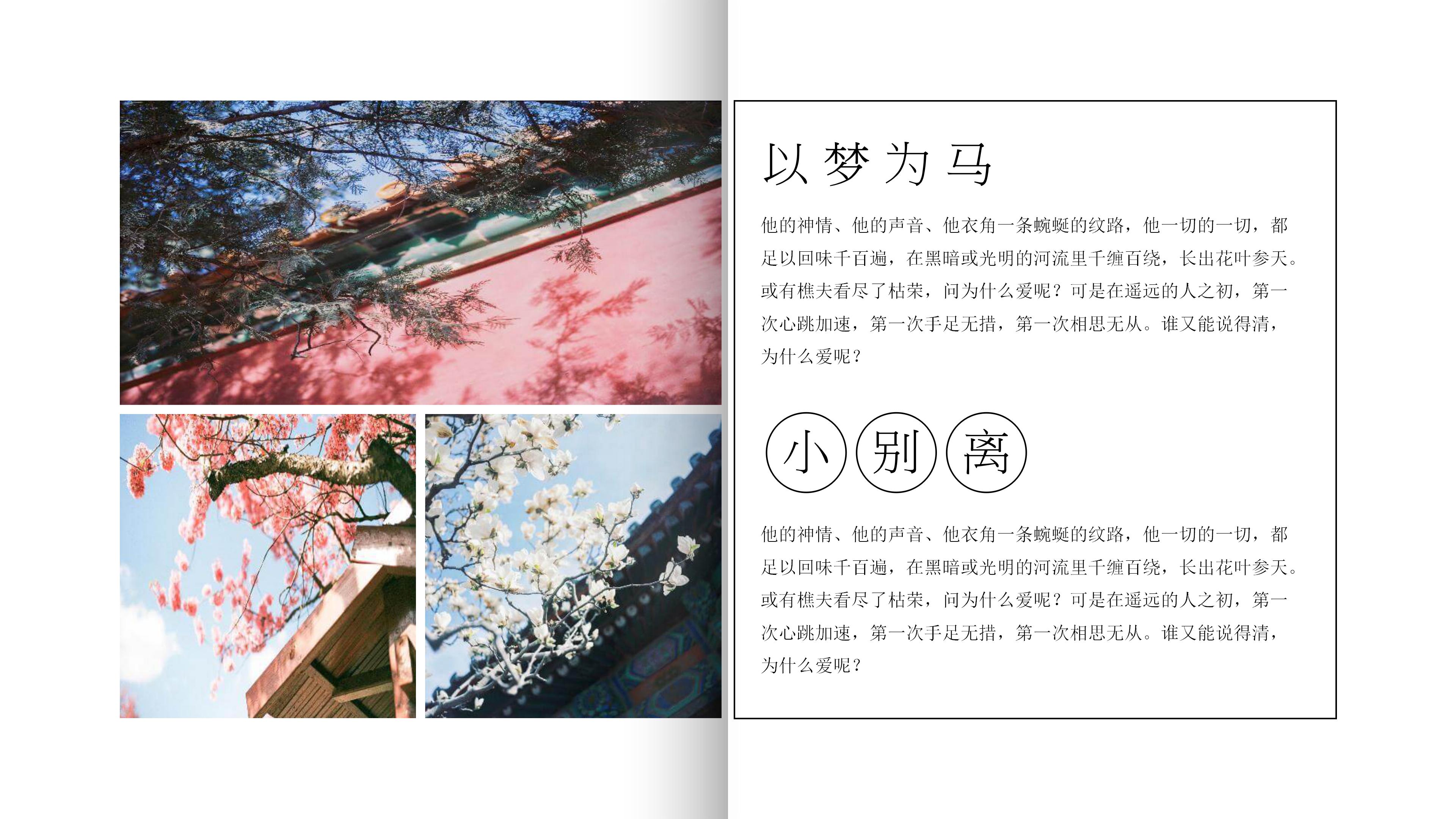 医药销售案例分享ppt模板