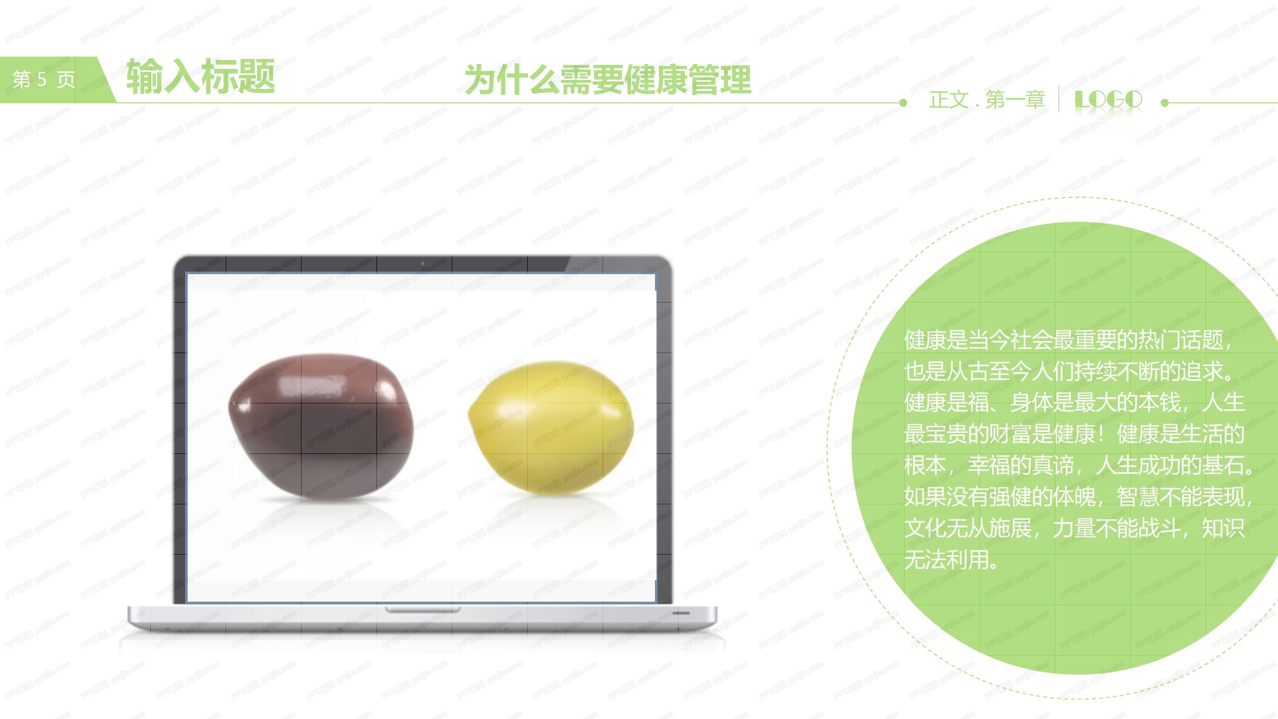 健康管理行业工作汇报ppt模板