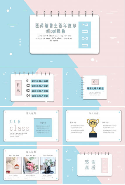 医药销售主管年度总结ppt模板