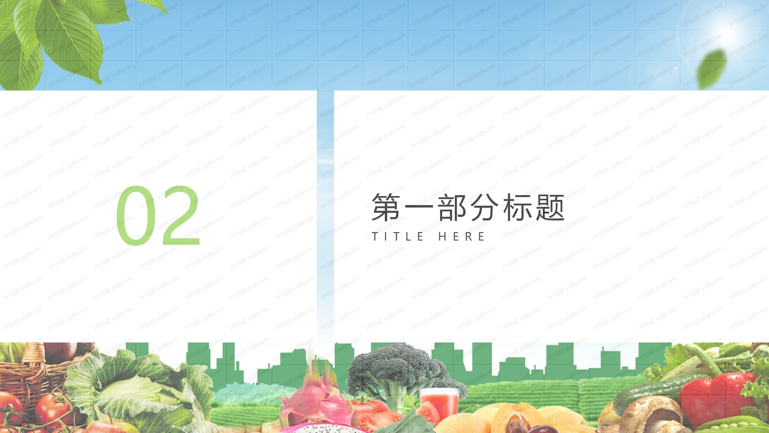 绿色健康生活食品安全会议报告ppt模板