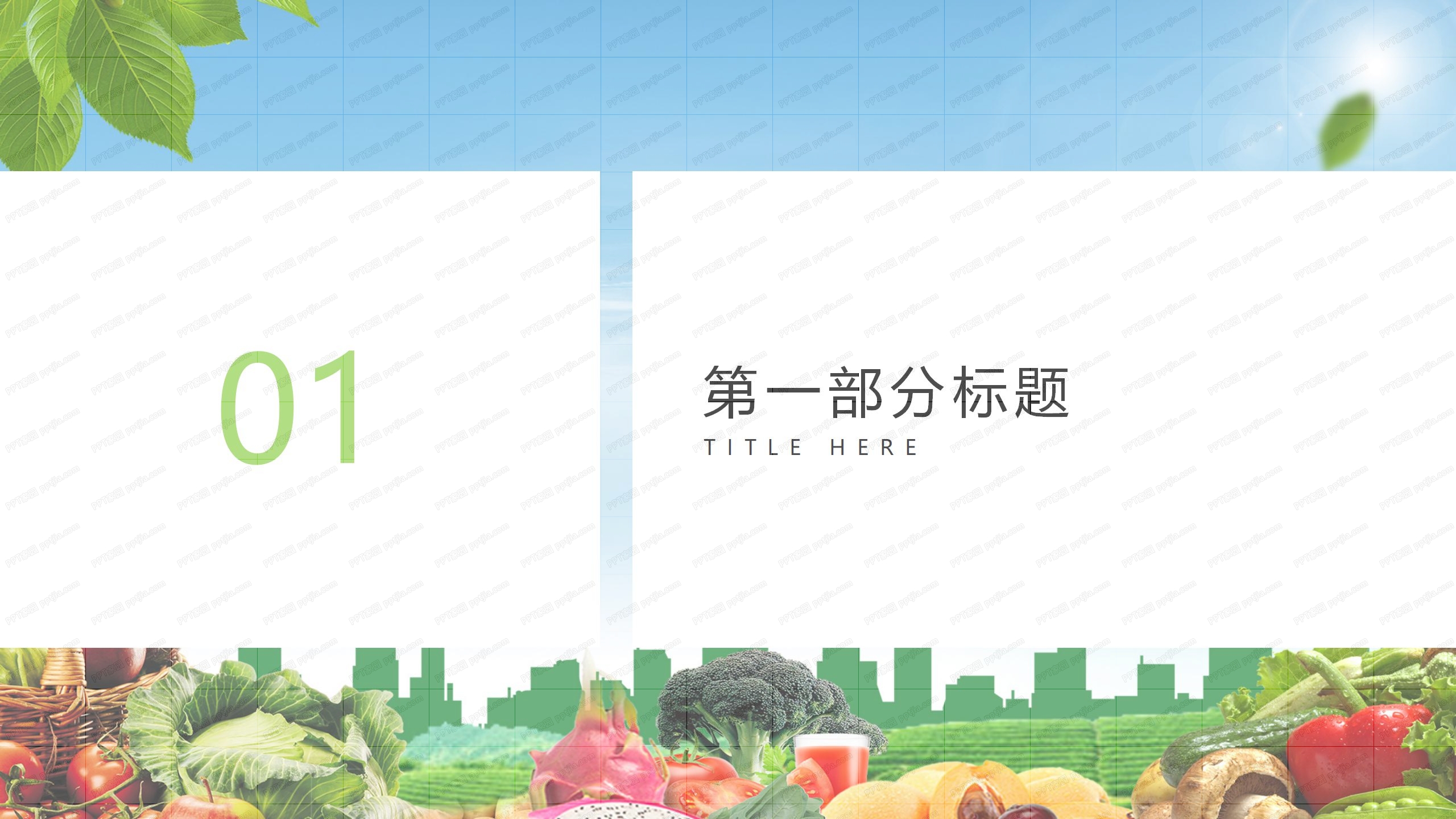 绿色健康生活食品安全会议报告ppt模板