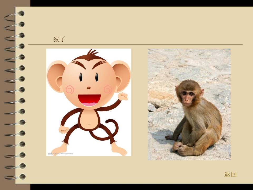 动物的家-以保护动物为主题的ppt模板