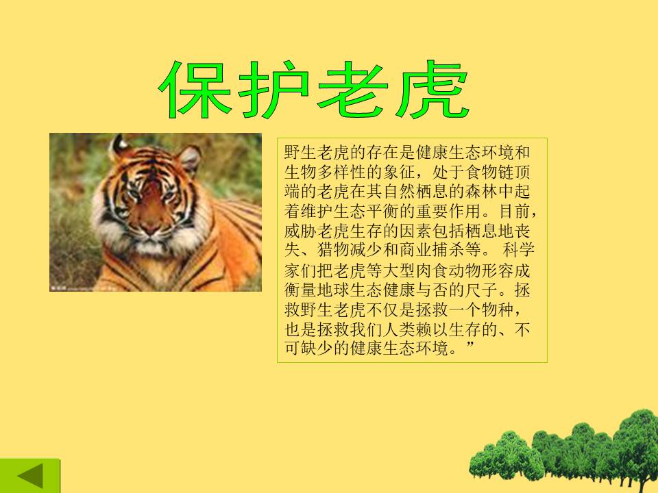 以保护珍稀野生动物为主题的ppt
