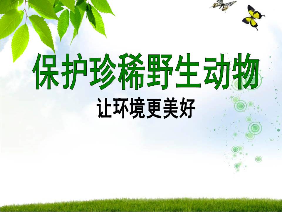 以保护珍稀野生动物为主题的ppt