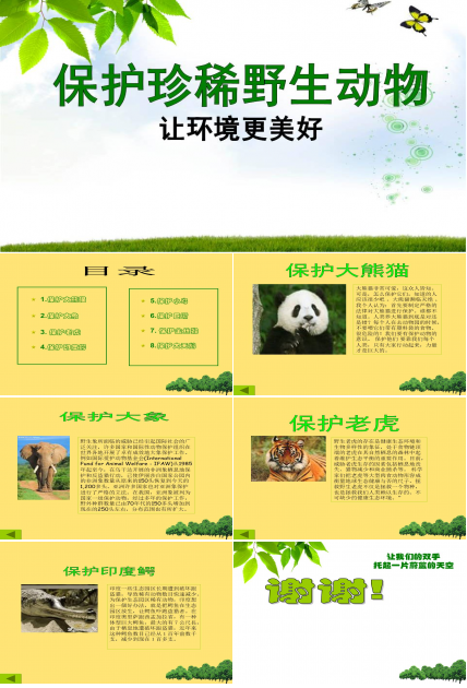以保护珍稀野生动物为主题的ppt