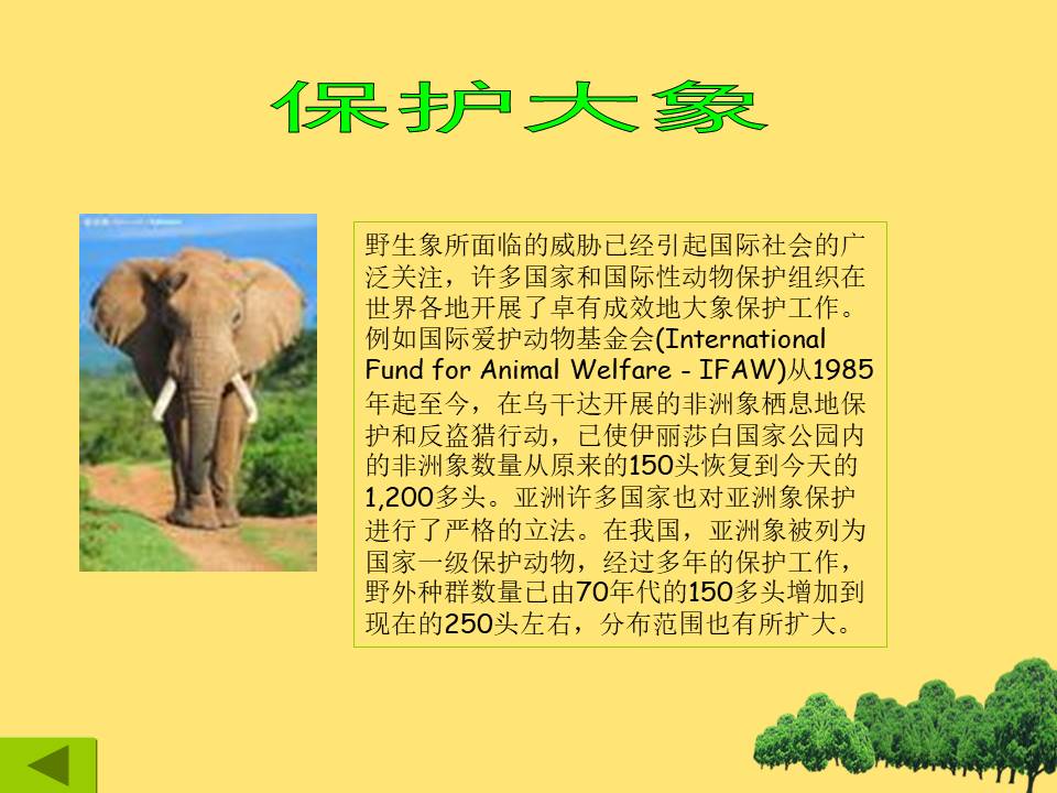 以保护珍稀野生动物为主题的ppt