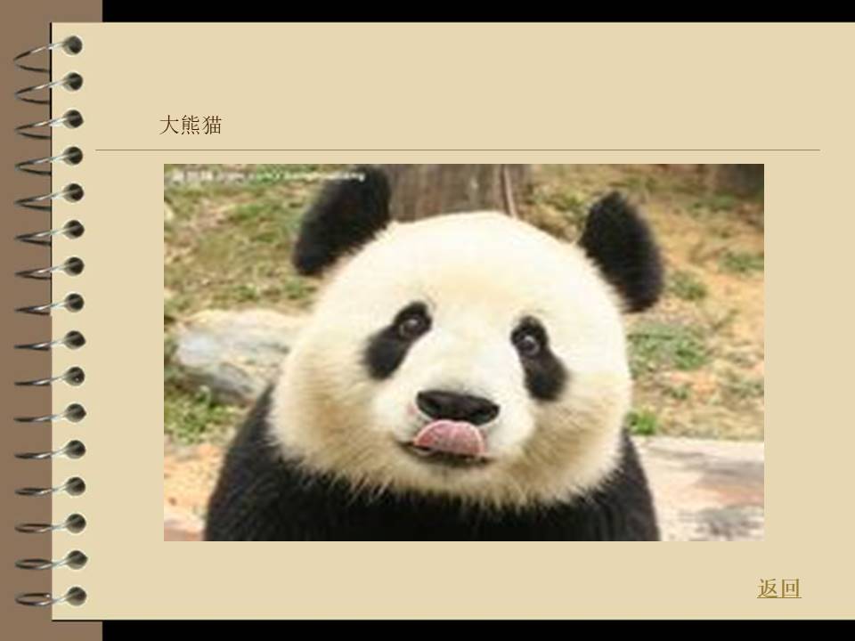 动物的家-以保护动物为主题的ppt模板